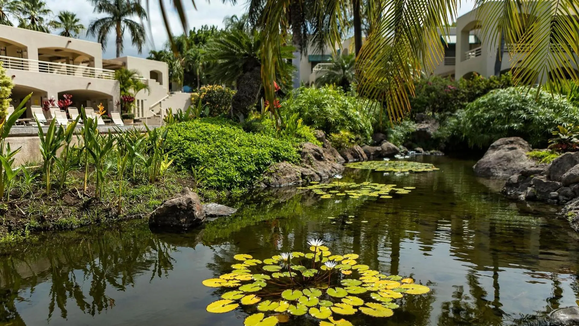Casa de Férias Palms At Wailea One Bedrooms By Coldwell Banker Island Vacations